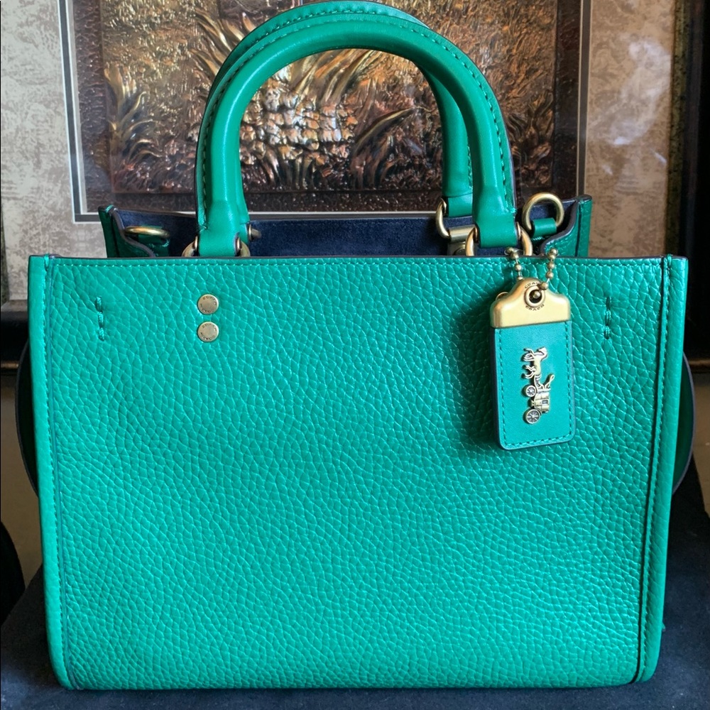 COPY - Coach Rogue 25